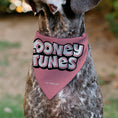 Load image into Gallery viewer, Pet Bandana - Tweety Bird BE MY CUPCAKE Sweets Pose and Title Logo Pink