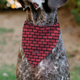 Load image into Gallery viewer, Pet Bandana - TEENAGE MUTANT NINJA TURTLES Brick Title Logo