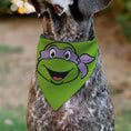 Load image into Gallery viewer, Pet Bandana - Ninja Turtles Donatello Face and Turtle Shell Character Close-Up Green