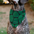 Load image into Gallery viewer, Pet Bandana - Ninja Turtles Donatello Face and Turtle Shell Character Close-Up Green