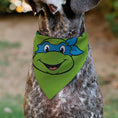 Load image into Gallery viewer, Pet Bandana - Ninja Turtles Leonardo Face and Turtle Shell Character Close-Up Green