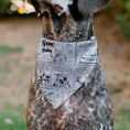 Load image into Gallery viewer, Pet Bandana - PEANUTS Good Ol Charlie Brown Comic Scene Blocks White/Black