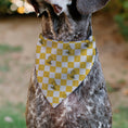 Load image into Gallery viewer, Pet Bandana - Peanuts Woodstock Pose Checker Yellow/White