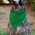 Load image into Gallery viewer, Pet Bandana - Peanuts Gang Group Pose Green