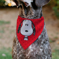 Load image into Gallery viewer, Pet Bandana - Peanuts Snoopy Face and Profile Pose Reds