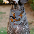 Load image into Gallery viewer, Pet Bandana - Peanuts Gang Floating Astronauts Group Pose Gray
