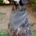 Load image into Gallery viewer, Pet Bandana - Peanuts Gang Floating Astronauts Group Pose Gray