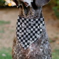Load image into Gallery viewer, Pet Bandana - Peanuts Snoopy Smiling Face Checker Black/White