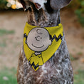 Load image into Gallery viewer, Pet Bandana - Peanuts Charlie Brown Smiling Face Pose with Stripe Yellow