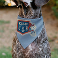 Load image into Gallery viewer, Pet Bandana - Peanuts Snoopy COWBOY USA Pose Light Blue/Red/White/Blue