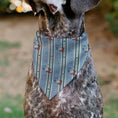 Load image into Gallery viewer, Pet Bandana - Peanuts Snoopy YEE HAW AMERICA Pose and Icons Ivory/Blues/Red