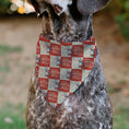Load image into Gallery viewer, Pet Bandana - Peanuts Snoopy YEE HAW AMERICA Pose Checker Ivory/Red/Blues