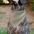 Load image into Gallery viewer, Pet Bandana - Peanuts Snoopy ALL AMERICAN RODEO CLUB Pose Beige/Red/Blues