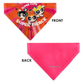 Load image into Gallery viewer, Pet Bandana - Powerpuff Girls SUPER CUTE SUPER FIERCE Group Pose Pinks