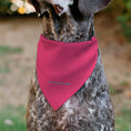 Load image into Gallery viewer, Pet Bandana - Powerpuff Girls SUPER CUTE SUPER FIERCE Group Pose Pinks