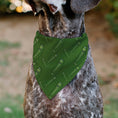 Load image into Gallery viewer, Pet Bandana - Rick and Morty Pickle Rick Pose Scattered Greens