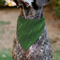 Load image into Gallery viewer, Pet Bandana - Rick and Morty Pickle Rick Pose Scattered Greens