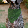 Load image into Gallery viewer, Pet Bandana - Rick and Morty Pickle Rick Pose Scattered Greens