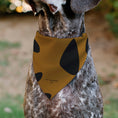 Load image into Gallery viewer, Pet Bandana - Scooby Doo Character Close-Up SD Dog Tag Brown
