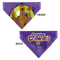 Load image into Gallery viewer, Pet Bandana - Scooby Doo Halloween Spider Web CREEPY CRAWLIES Pose Purples