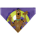 Load image into Gallery viewer, Pet Bandana - Scooby Doo Halloween Spider Web CREEPY CRAWLIES Pose Purples