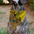Load image into Gallery viewer, Pet Bandana - Scooby-Doo Laughing and Shaggy Screaming Pose Yellow