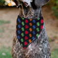 Load image into Gallery viewer, Pet Bandana - South Park Eric Cartman Face Close-Up Red