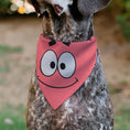 Load image into Gallery viewer, Pet Bandana - SpongeBob SquarePants Patrick Star Face Close-Up Pink