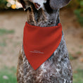 Load image into Gallery viewer, Pet Bandana - SpongeBob SquarePants Mr. Krabs Character Close-Up Red