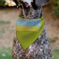 Load image into Gallery viewer, Pet Bandana - SpongeBob SquarePants Excited Smile Expression Yellow