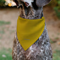 Load image into Gallery viewer, Pet Bandana - Star Trek Original Series Golden Yellow Uniform Print
