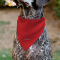 Load image into Gallery viewer, Pet Bandana - Star Trek Original Series Red Uniform Print