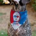 Load image into Gallery viewer, Pet Bandana - Star Wars DROID C-3PO Text and Pop Art Pose Red/Blue/White