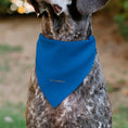 Load image into Gallery viewer, Pet Bandana - Star Wars DROID C-3PO Text and Pop Art Pose Red/Blue/White