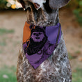 Load image into Gallery viewer, Pet Bandana - Star Wars EWOK Text and Wicket Pop Art Pose Orange/Purples/Black