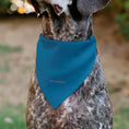 Load image into Gallery viewer, Pet Bandana - Star Wars CHEWIE Text and Chewbacca Pop Art Pose Red/Blue/Black