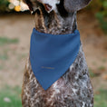 Load image into Gallery viewer, Pet Bandana - Star Wars JEDI Text and Yoda Lightsaber Pop Art Pose Black/Blues