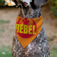 Load image into Gallery viewer, Pet Bandana - Star Wars REBEL Text and Rebel Alliance Insignia Orange/Red/Yellow