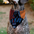 Load image into Gallery viewer, Pet Bandana - Star Wars VADER Text and Pop Art Pose Red/Orange/Black