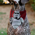 Load image into Gallery viewer, Pet Bandana - Star Wars TROOPER Text and Stormtrooper Pop Art Pose Reds/Black
