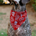 Load image into Gallery viewer, Pet Bandana - Bandana/Skulls Red/White