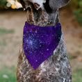 Load image into Gallery viewer, Pet Bandana - Galaxy Blues/Purples
