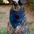 Load image into Gallery viewer, Pet Bandana - Galaxy Collage