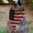 Load image into Gallery viewer, Pet Bandana - Vintage US Flag Repeat