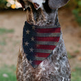 Load image into Gallery viewer, Pet Bandana - Vintage US Flag Stretch