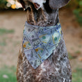 Load image into Gallery viewer, Pet Bandana - Vivid 100 Dollar Bills Stacked