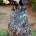 Load image into Gallery viewer, Pet Bandana - Vivid 100 Dollar Bills Stacked
