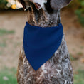Load image into Gallery viewer, Pet Bandana - Colorado VAIL Flag Blue/White/Red/Yellow