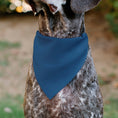 Load image into Gallery viewer, Pet Bandana - ADOPT ME Text and Paw Black/Lavender/Ivory