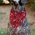 Load image into Gallery viewer, Pet Bandana - Americana Stars Scattered Red/White/Blue
